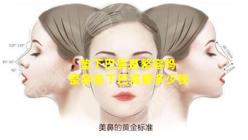 垫下巴算是整容吗 整容垫下巴需要多少钱